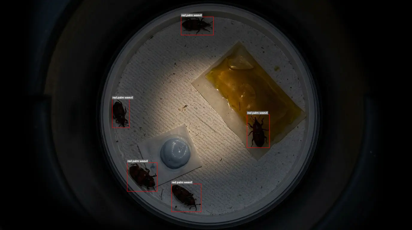 DeepTrap INS - Image 2