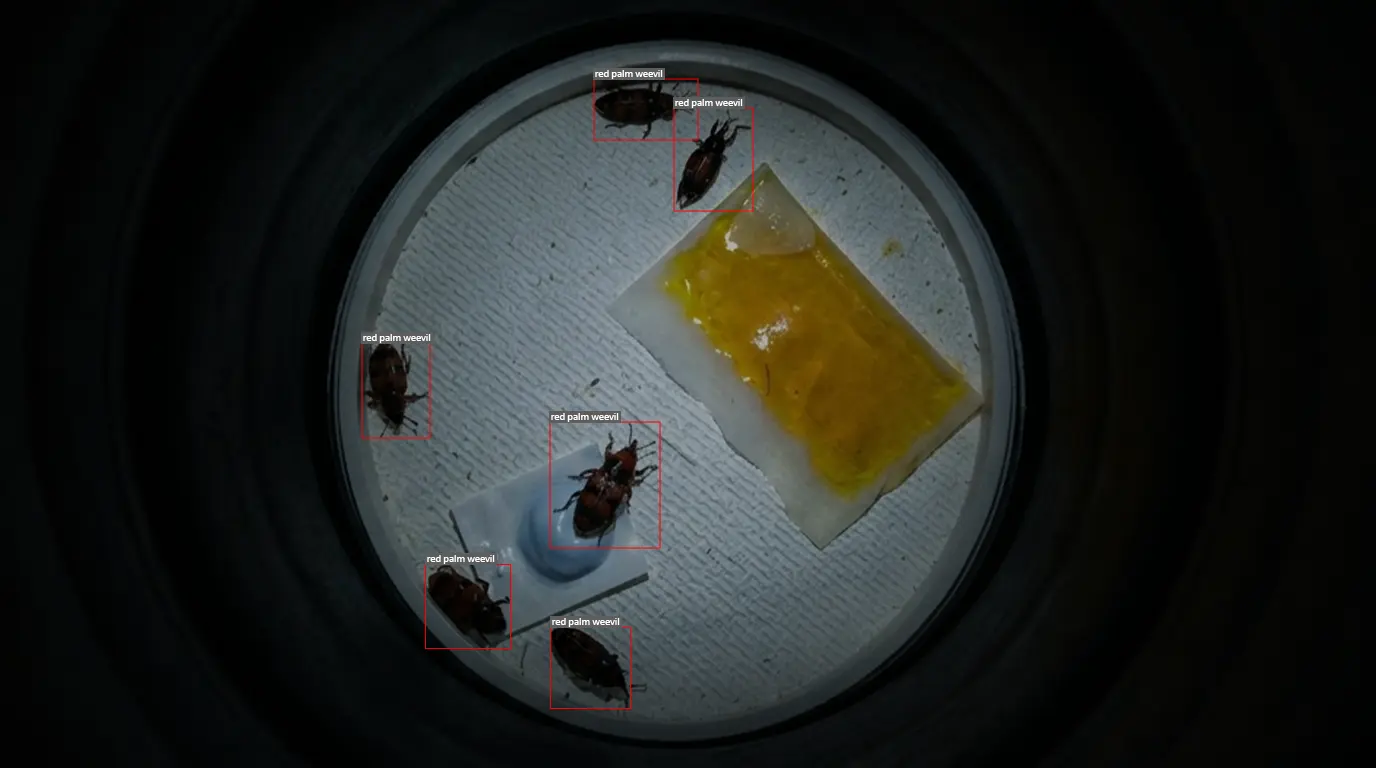 AI Capture Inside